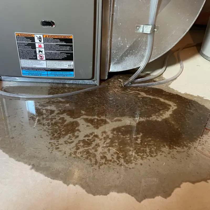 Appliance Leak Cleanup in Archer City, TX
