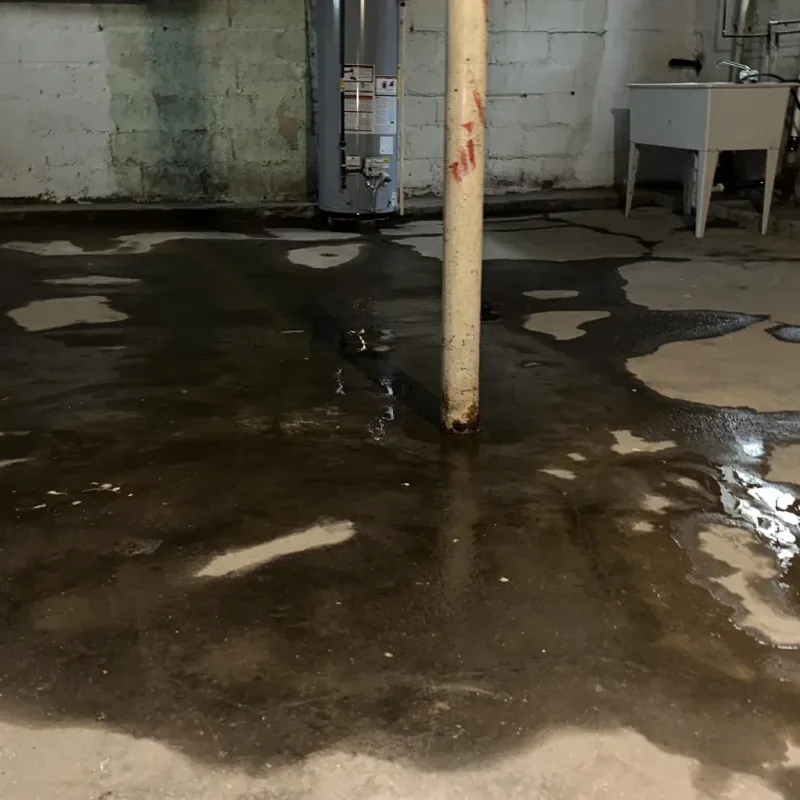Emergency Water Extraction And Removal in Archer City, TX